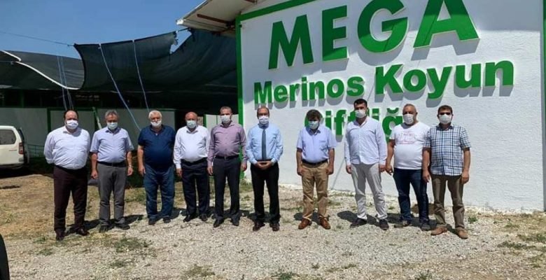 Mega Merinos Koyun  Çiftliği’ne ziyaret