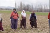 Sorkun’da vatandaşların çektiği İstiklal Marşı videosu büyük beğeni topladı